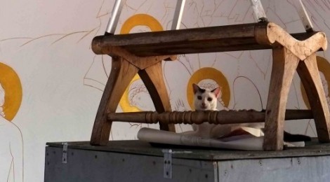 Дела и заботы